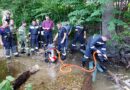 Nö: Fünf stunden Einsatz bei Öltreiben im Weistracherbach