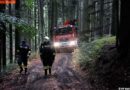 Nö: Pkw-Lenker parkte sein Fahrzeug gegen einen Baum und ging nach Hause