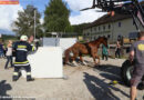 Oö: Pferdeanhänger zwecks Tierrettung in Bad Leonfelden zerlegt