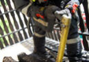 Bgld: Feuer am Balkon in Pinkafeld