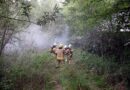 Stmk: Brand in einer Garage – Brandausbreitung verhindert