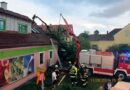 Bgld: Baum stürzte auf ein Kaufhaus