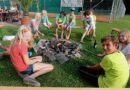 Oö: Ferienspaß mit dem Baggerseejet