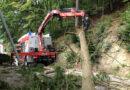 Oö: Baum in Wernstein auf Gebäudedach gestürzt