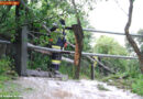 Nö: Schweres Unwetter in der Gemeinde Wienerwald