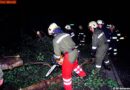 Oö: Passanten befreien Unfalllenker aus seinem Fahrzeug