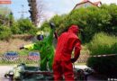 Oö: Entsorgung von Natriumhydroxid -> chemischen Reaktion