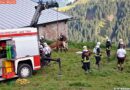 T: Tierrettung am Hahnenkamm -> Kuh erfolgreich gerettet