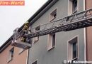 Nö: Katze mit Pfote im gekippten Fenster eingeklemmt