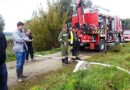 Bgld: Erneuter Hochwassereinsatz in Mogersdorf