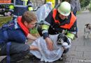 Bayern: Herrenloser Hund in der Isar in München
