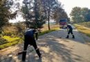 Nö: Sturmschaden in Sitzenberg -> Baum blockiert eine Straße