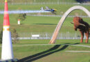 Stmk: AIR RACE 2014 – Knittelfelder Feuerwehren sorgten für Sicherheit
