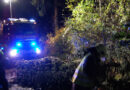 Bgld: Stürmische Nacht sorgt für Einsätze in Pinkafeld