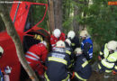 Oö: Wildenauer Rescue Days 2014