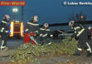Nö: Feuerwehr Wiener Neudorf durch Sturmtief gefordert