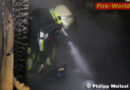 D: Feuerwehr Alsfeld rettet sechs Meerschweinchen vor dem Brandtod