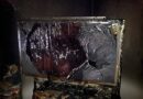 Oö: Zwei Hunde verenden bei Wohnhausbrand