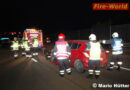 Nö: Feuerwehr Laxenburg im morgendlichen Bergungseinsatz