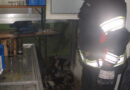Oö: Tiefkühltruhe in Flammen aufgegangen