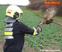 Nö: Feuerwehr Münchendorf befreit Kauz aus Kaminrohr (+Video)