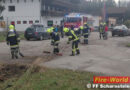 Oö: Glimpfliches Wildwechsel-Ausweichmanöver in Scharnstein