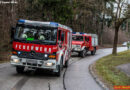 Nö: Pkw bei Grossau gegen Baum geprallt