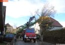 Nö: Baum stürzt auf ein benachbartes Haus