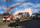 Nö: „Zelt auf Baum“ in Grafenwörth