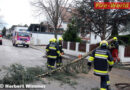 Nö: Sturmtief „Felix“ beschert Mödlings Feuerwehren viel Arbeit