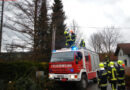Oö: Feuerwehr entfernt umgestürzten Baum und sichert Telefonleitung