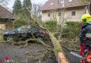 Oö: FF Alkoven bei rund 20 Sturmtief-Niklas-Hilfeleistungen im Einsatz (+Video)