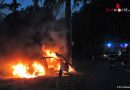 Deutschland: Auto geht nach Crash gegen Baum in Flammen auf