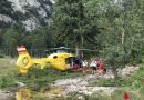 Stmk: Kombinierter Einsatz für Insektenstichopfer am Altausseer-See
