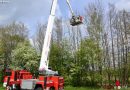 Oö: Feuerwehr holt Katze nach Krähenattacke vom Baum