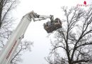 Oö: Feuerwehr holt Katze in St. Willibald aus über 20 m Höhe vom Baum