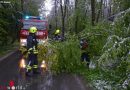 Oö: Freimachen von Verkehrswegen wegen Schneedrucks in Andorf