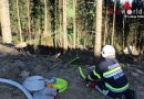 Stmk: Umstürzender Baum entzündet Waldboden in Bad Gams