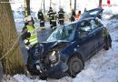 Oö:  Lenkerin schlitterte gegen Baum → Zwei Verletzte in Bad Leonfelden