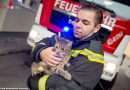 Nö: Feuerwehr rettete Bewohner und Katze bei Wohnungsbrand in Baden