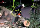 Deutschland: Sturmtief Zeljko: Bäume blockieren Bundesstraße 9 in Bedburg-Hau