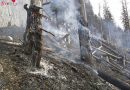 Bayern: Alpiner Vegetationsbrand unterhalb des Gemeinen Feuerbichls am Untersberg