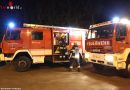 Deutschland: Feuerwehr befreit Schaf auf den Rheinwiesen aus Absperrzaun