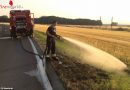 Nö: Flurbrand neben der B60 in Ebenfurth