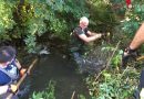 Nö: Verklausungseinsatz der Freiw. Feuerwehr Ebenfurth