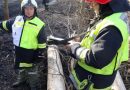 Nö: Übung mit 13 Feuerwehren → Orkan über Lassee forderte mehrere Verletzte