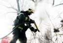 Oö: Brand eines Baumstumpfes in Enns