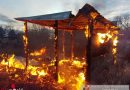 Nö: Gartenhütte eines Mehrparteienhauses in Felixdorf in Flammen