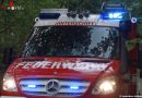 Deutschland: Person im Neckar durch Feuerwehr gerettet