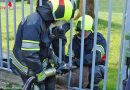 Stmk: Reh klemmt in Fohnsdorf zwischen Zaunstreben